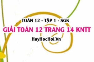Giải Toán 12 trang 14 tập 1 Kết nối tri thức